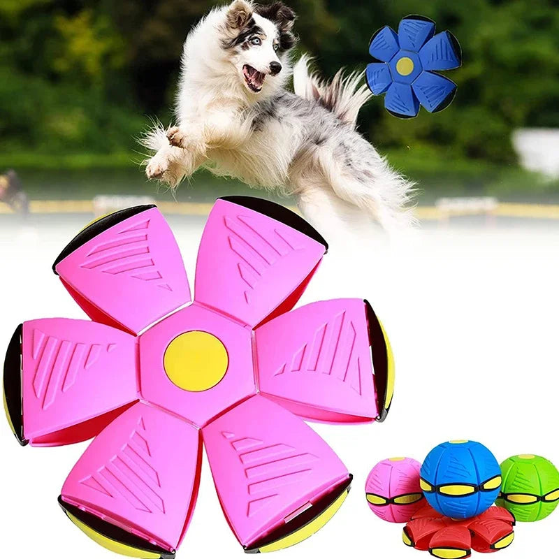 Disc Ball Pet Supplies