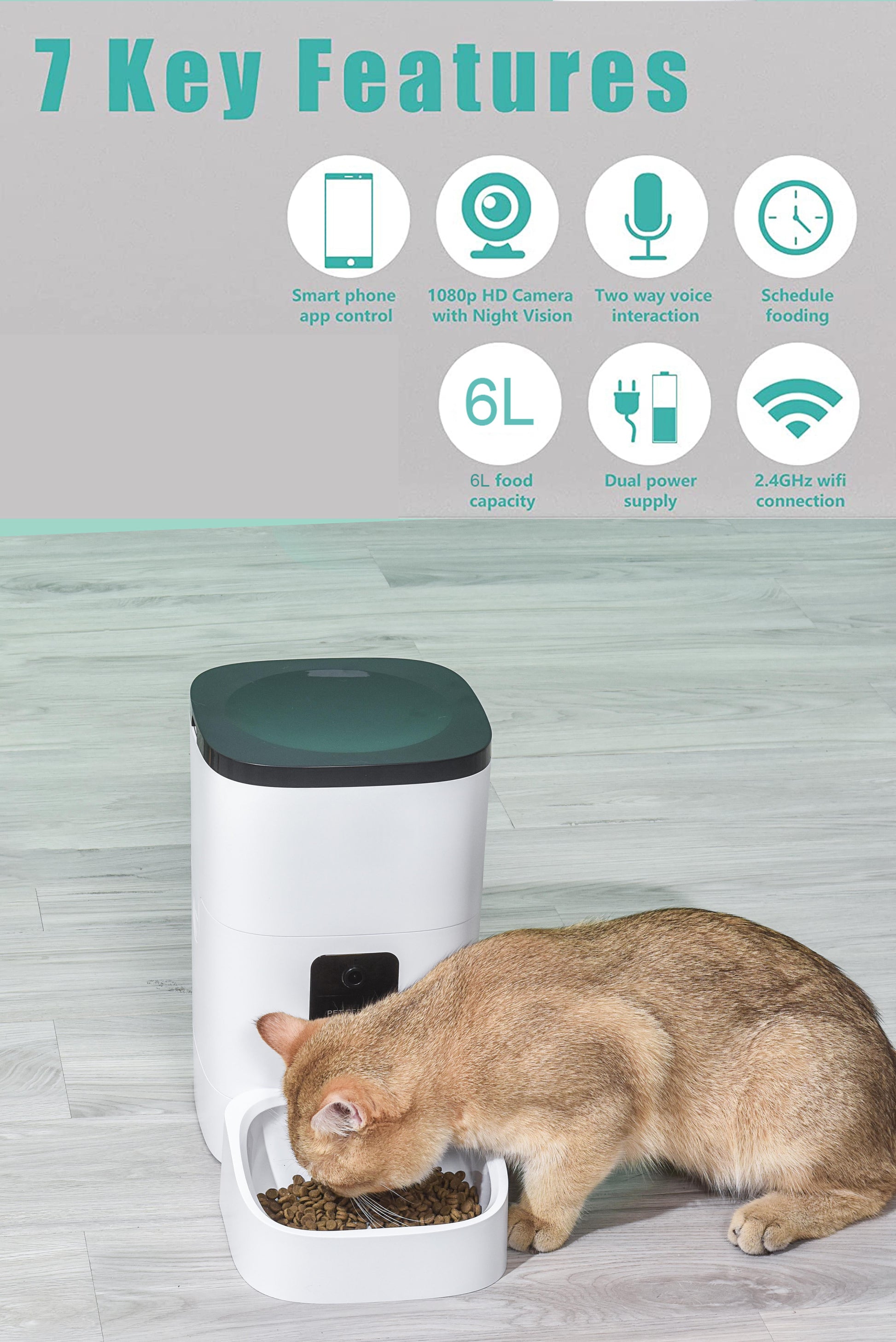 6L Automatic Pet Feeder for Cats and Dogs